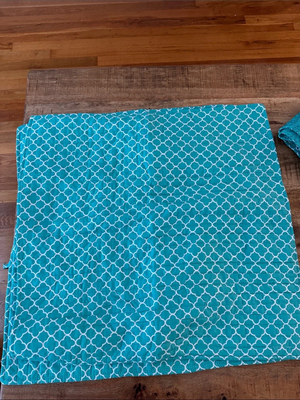 Levtex Home Mackenzie 4 Boho Kantha Turquoise Pink Paisley Quilted Pillow Cases
